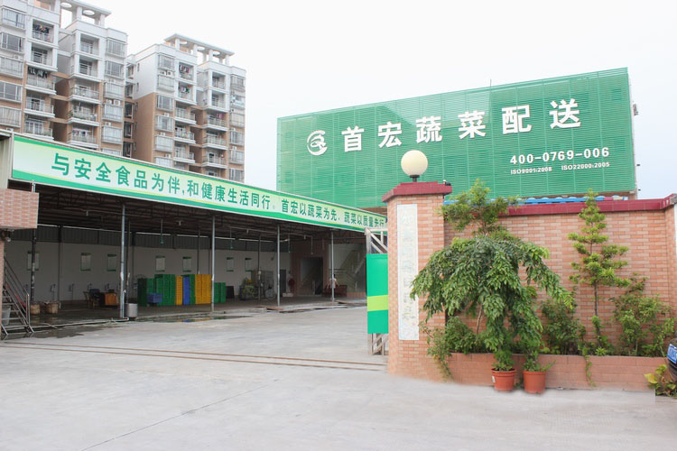 中山蔬菜配送